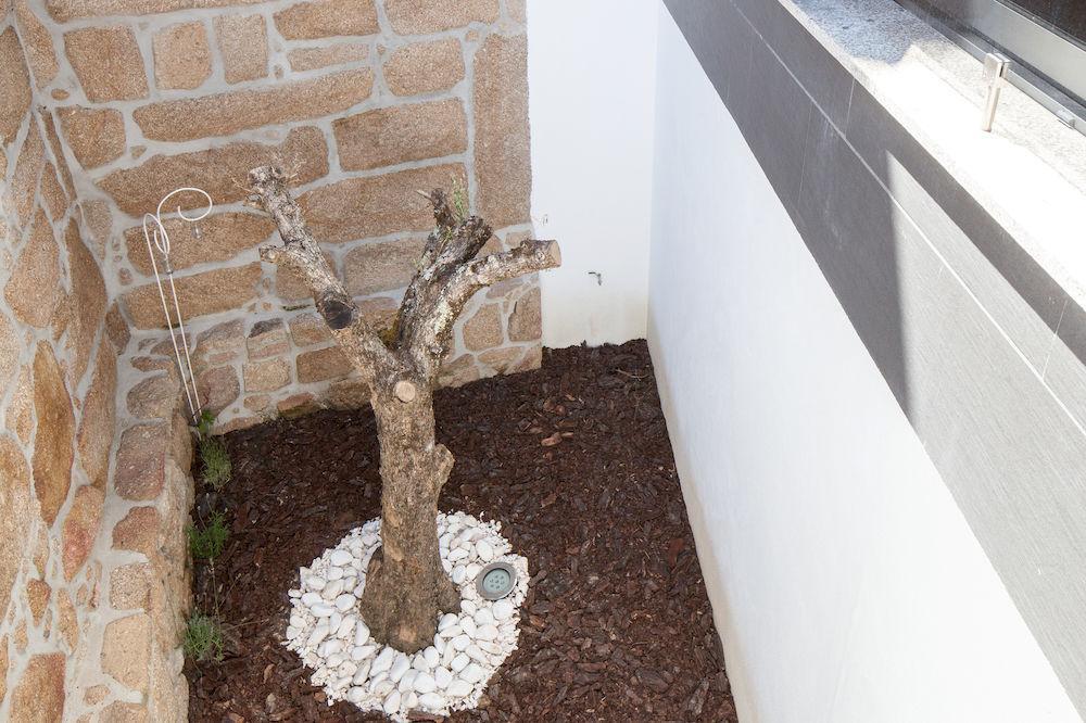 Casas Do Patio Country Houses & Nature Caldas da Felgueira Exterior foto